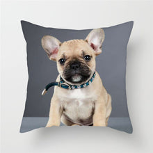 Load image into Gallery viewer, Cute Dog Cushion Cover