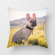 Load image into Gallery viewer, Cute Dog Cushion Cover