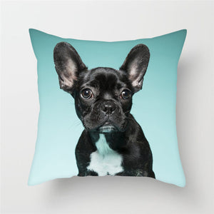 Cute Dog Cushion Cover