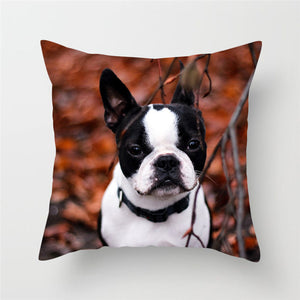 Cute Dog Cushion Cover