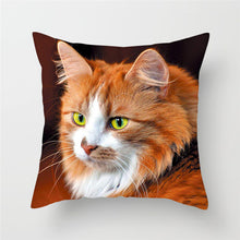 Load image into Gallery viewer, Cute Animal Cushion Cover