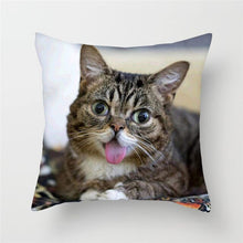 Load image into Gallery viewer, Cute Animal Cushion Cover