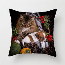 Load image into Gallery viewer, Cute Animal Cushion Cover