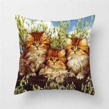 Load image into Gallery viewer, Cute Animal Cushion Cover